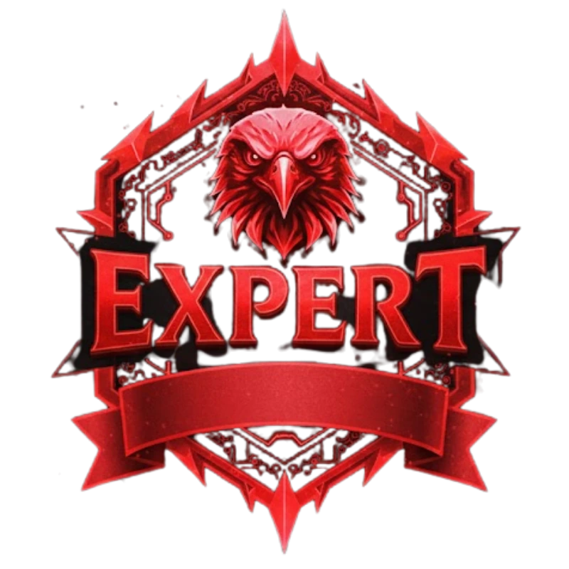 Expert